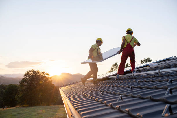 Best Roof Moss and Algae Removal  in Stamford, TX