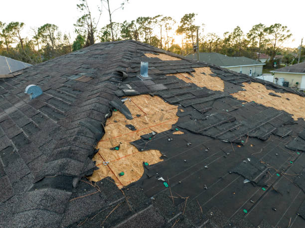 Best Roof Ventilation Installation  in Stamford, TX